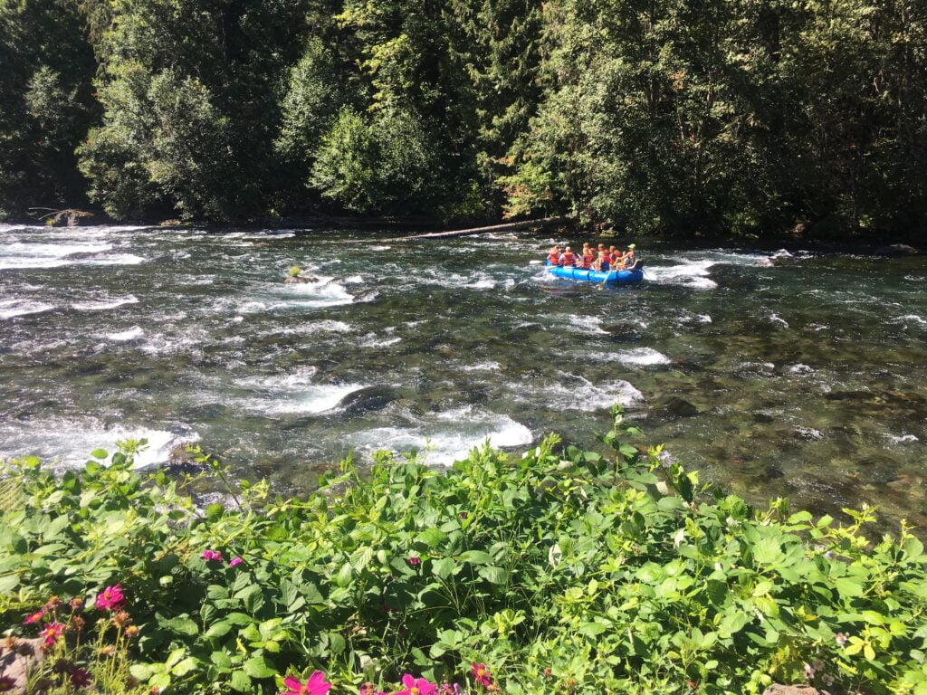 10 Experiences On The McKenzie River Scenic Byway Together Anywhere   IMG 3578 1024x768 