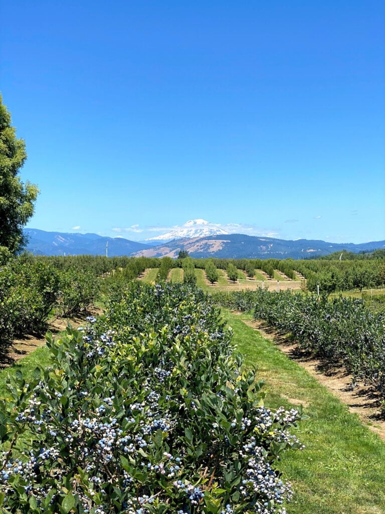 5 Things To Know About The Hood River Fruit Loop Together Anywhere 2022 