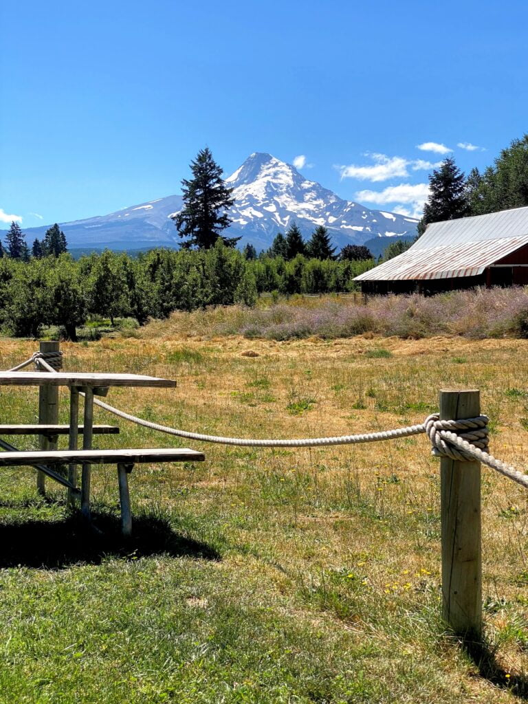 5 Things To Know About The Hood River Fruit Loop Together Anywhere 2022 