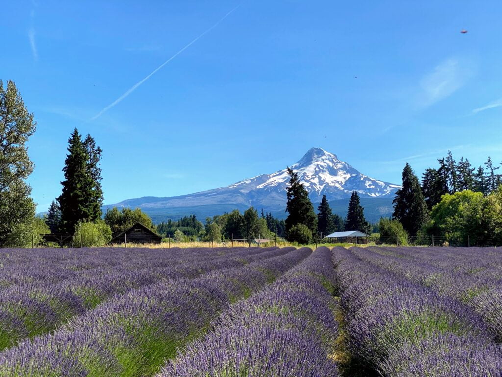 What To Do In Each Season Along The Hood River Fruit Loop Together Anywhere